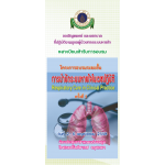 การบำบัดระบบหายใจในเวชปฏิบัติ (Respiratory Care in Clinical Practice) ครั้งที่ 5